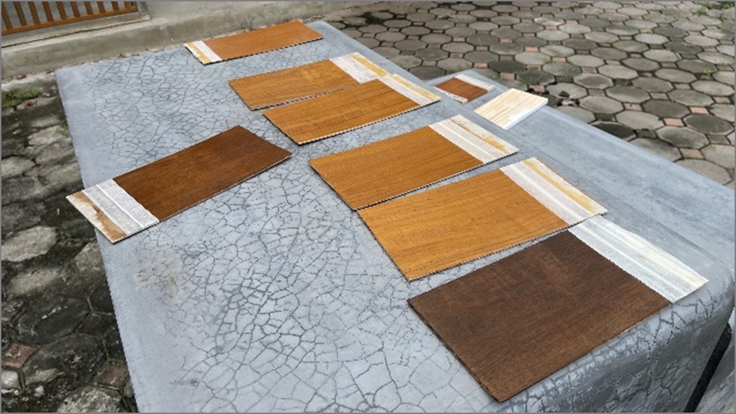 การทำระบบสีในงานไม้ยางพาราและไม้เศรษฐกิจแบบใหม่ 2