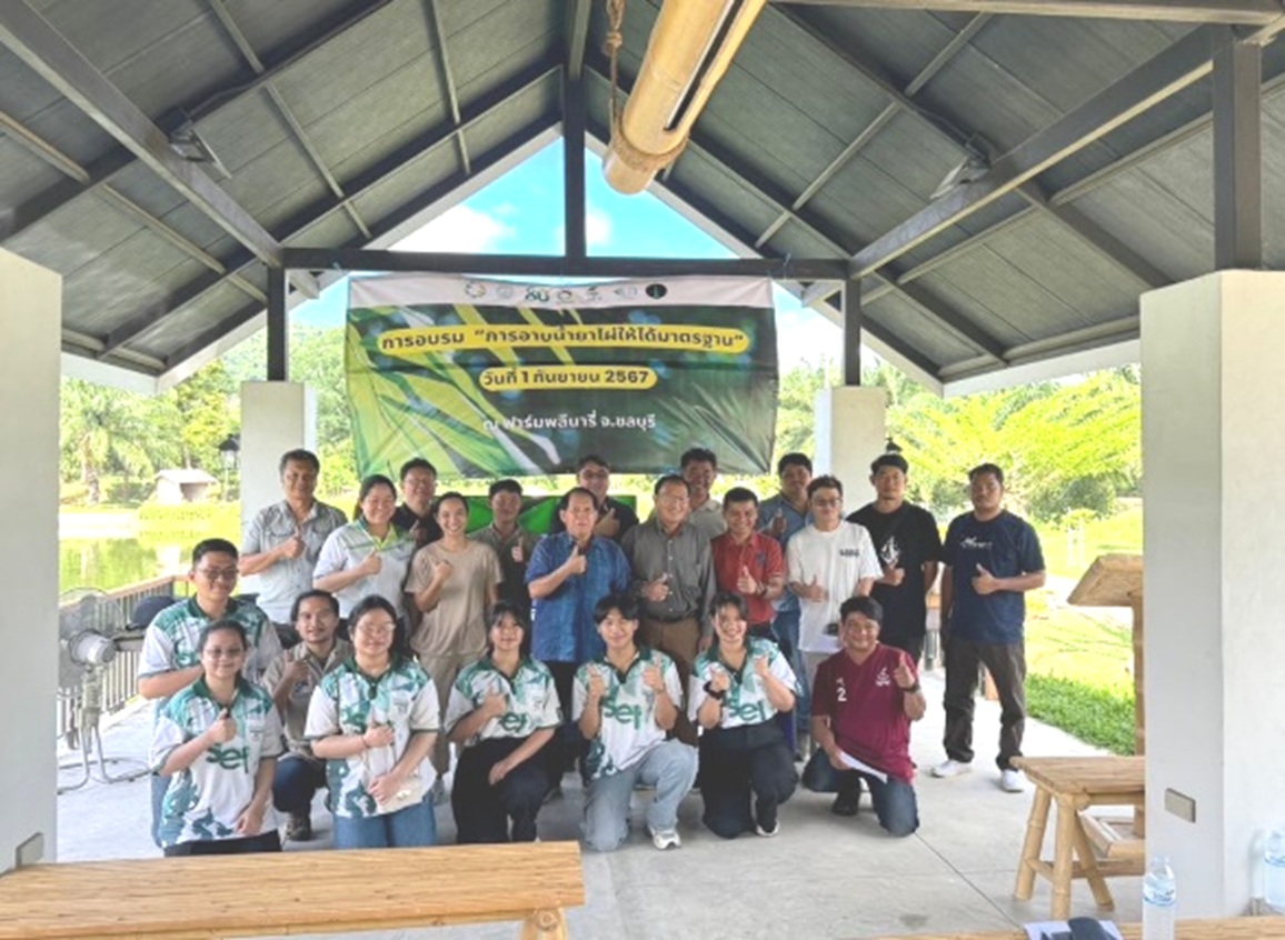 การอาบน้ำยาไผ่ให้ได้มาตรฐาน 1